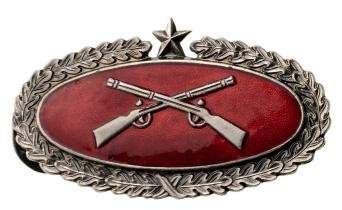 Wounded Badge: Breast Badge, silvered metal, 53x30 mm, one side enameled, original suspension pins. Elegant badge in extremely fine condition! IÂ - LOT: 5034 Country: COLOMBIA