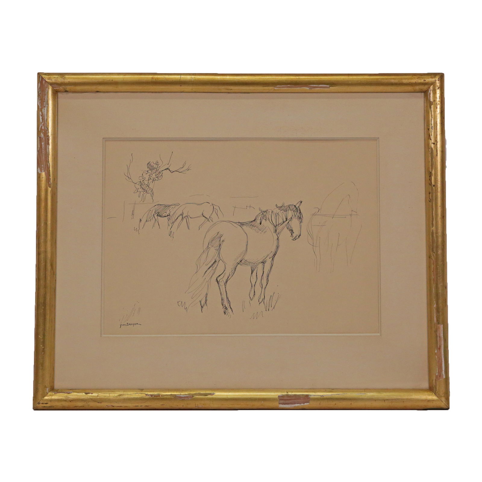 YVES BRAYER (1907-1990), engraving, "Camargue Horse" 20th Century, French.: YVES BRAYER (1907-1990), engraving, "Camargue Horse" 20th Century, French. Signed in the lower right corner painting - Yves Brayer. On the reverse is a tag reading "YVES BRAYER Camargue Horse". Yves B