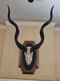 Approx. 39" H x 2' D x 31" W