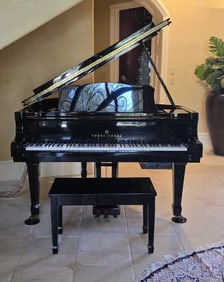 Polished Ebony; Piano Plays Beautifully; The Player Needs Replaced & Updated. The player does not