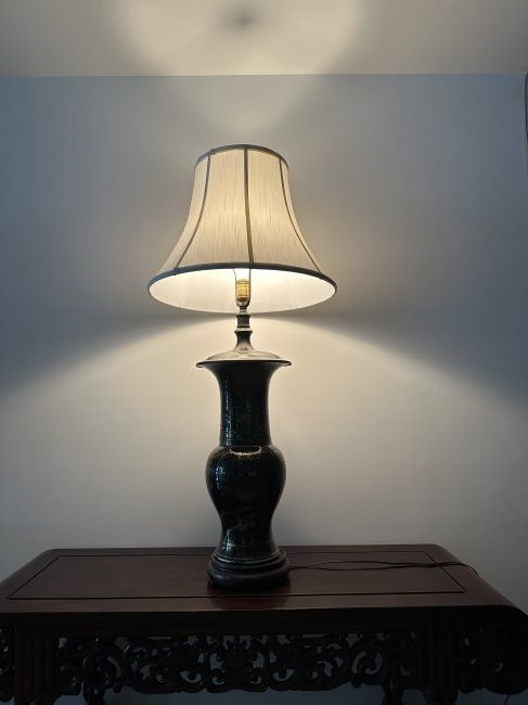 19TH CHINA antiques Black gold vase table lamp (1 of 8)