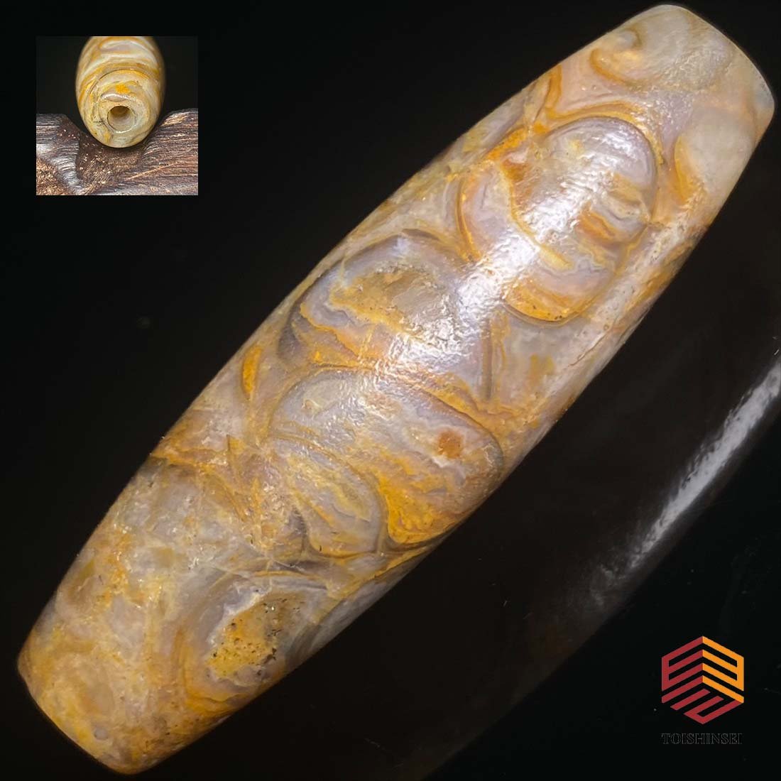 Dharma Conch Dzi Bead with old material high oil (1 of 9)