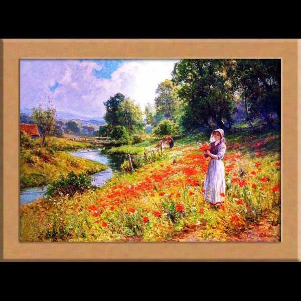 Woman collecting poppy flowers (1 of 9)