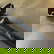 item-201670256=18