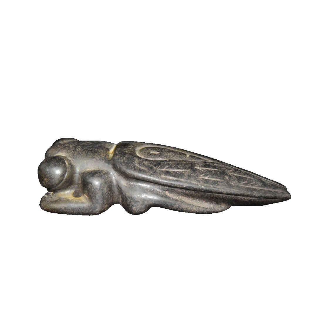 Meteorite, Cicada: This gold cicada carving made from meteorite measures 25 centimeters in length, approximately 7.5 centimeters in height, and weighs 2444 grams. The overall shape is lifelike, with clear details of the