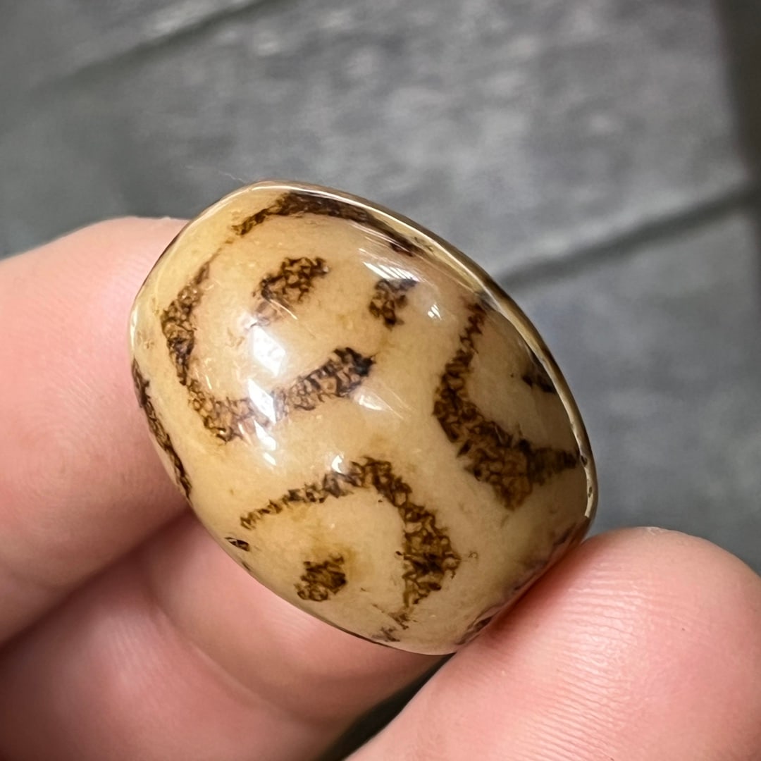 Agate Six-Eyed Dzi Bead - 3