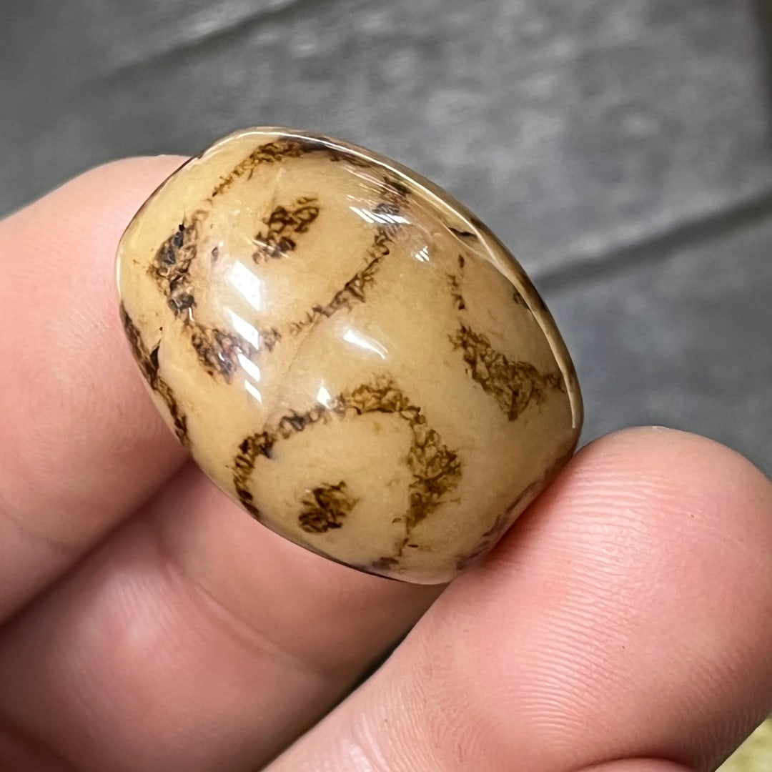Agate Six-Eyed Dzi Bead - 6