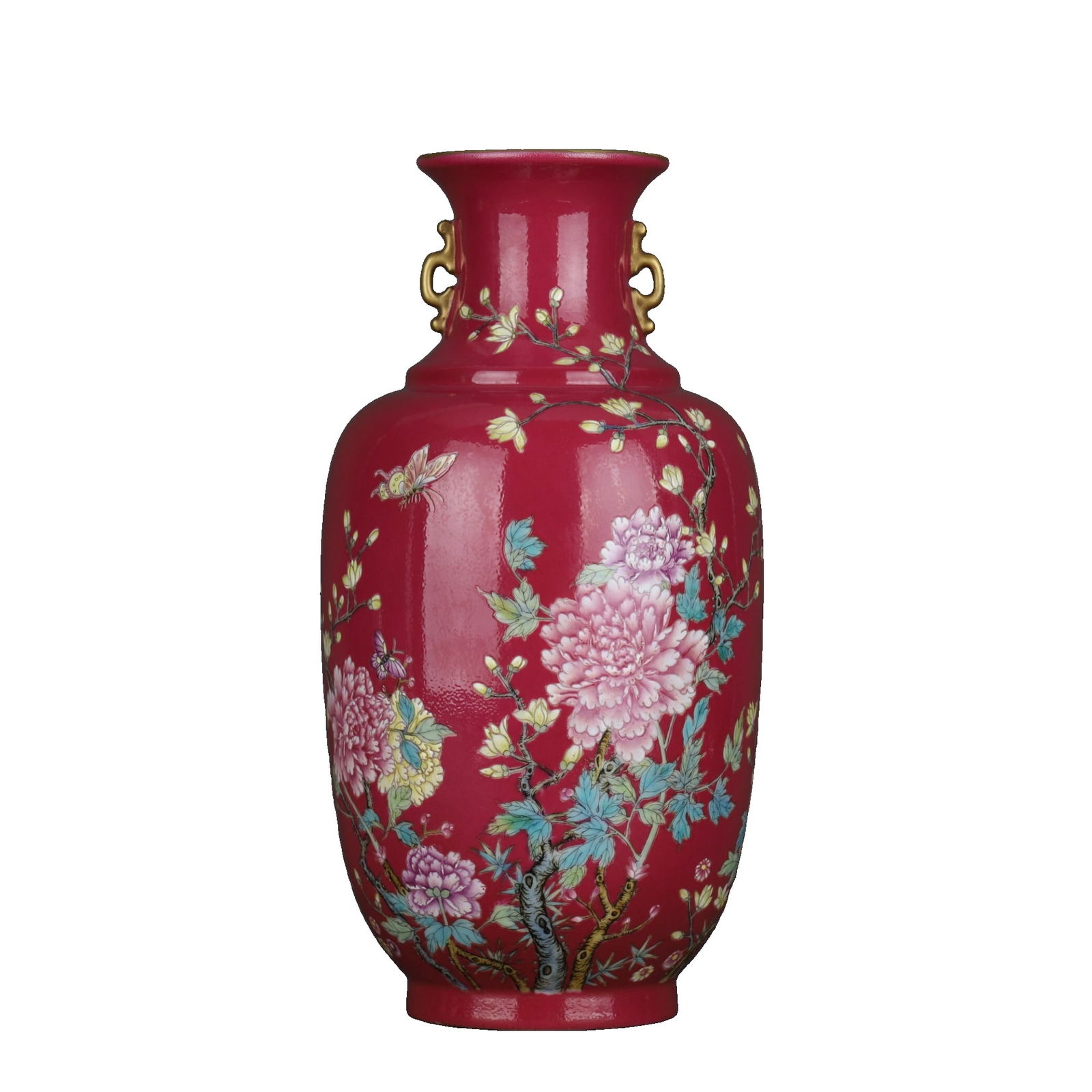Qing Dynasty Qianlong Period Blush-Red Ground Powder Glaze Vase with Butterfly and Flower Motifs (1 of 10)