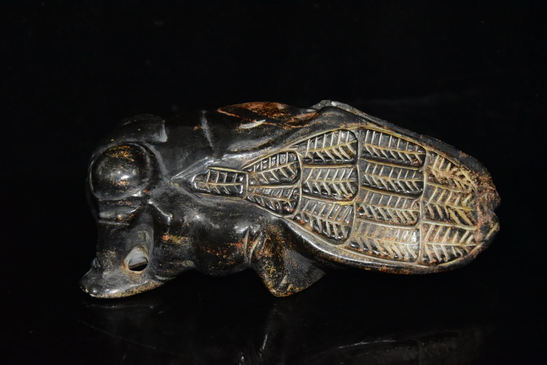 Meteorite cicada - 2