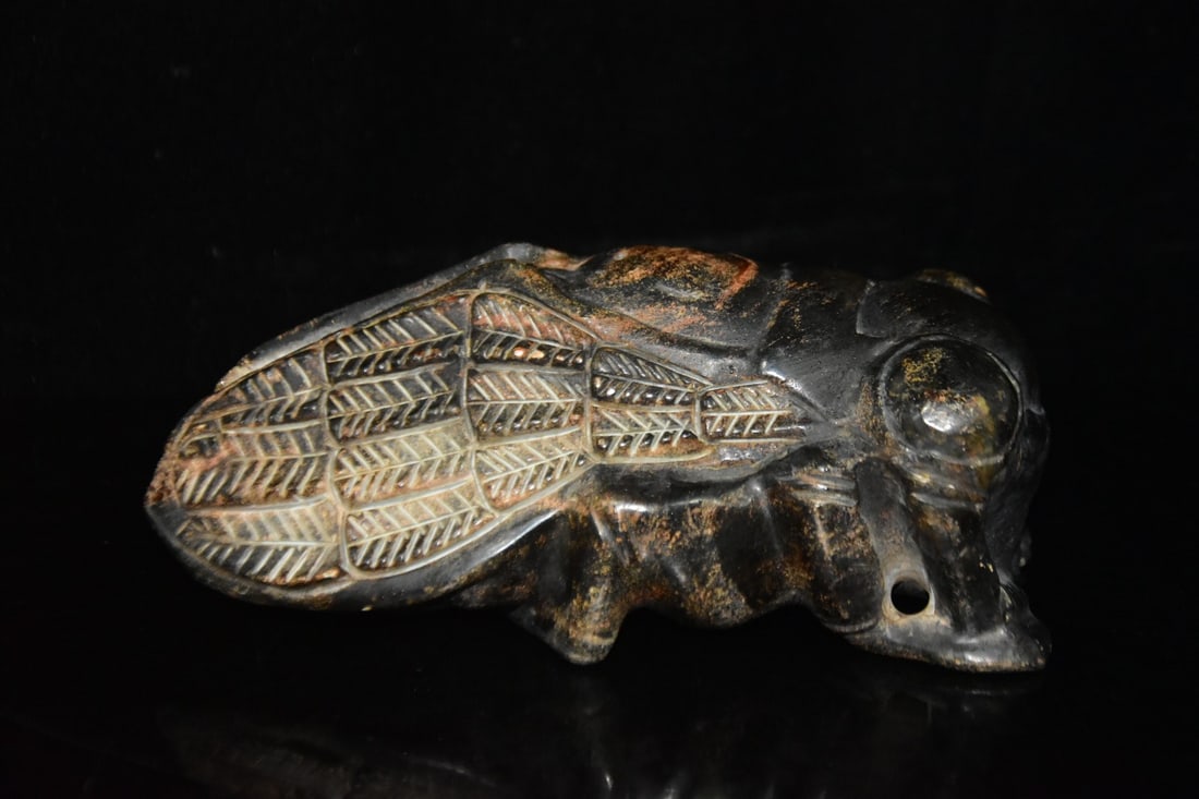 Meteorite cicada - 3