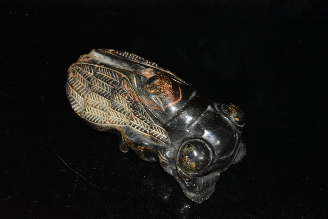 Meteorite cicada - 5