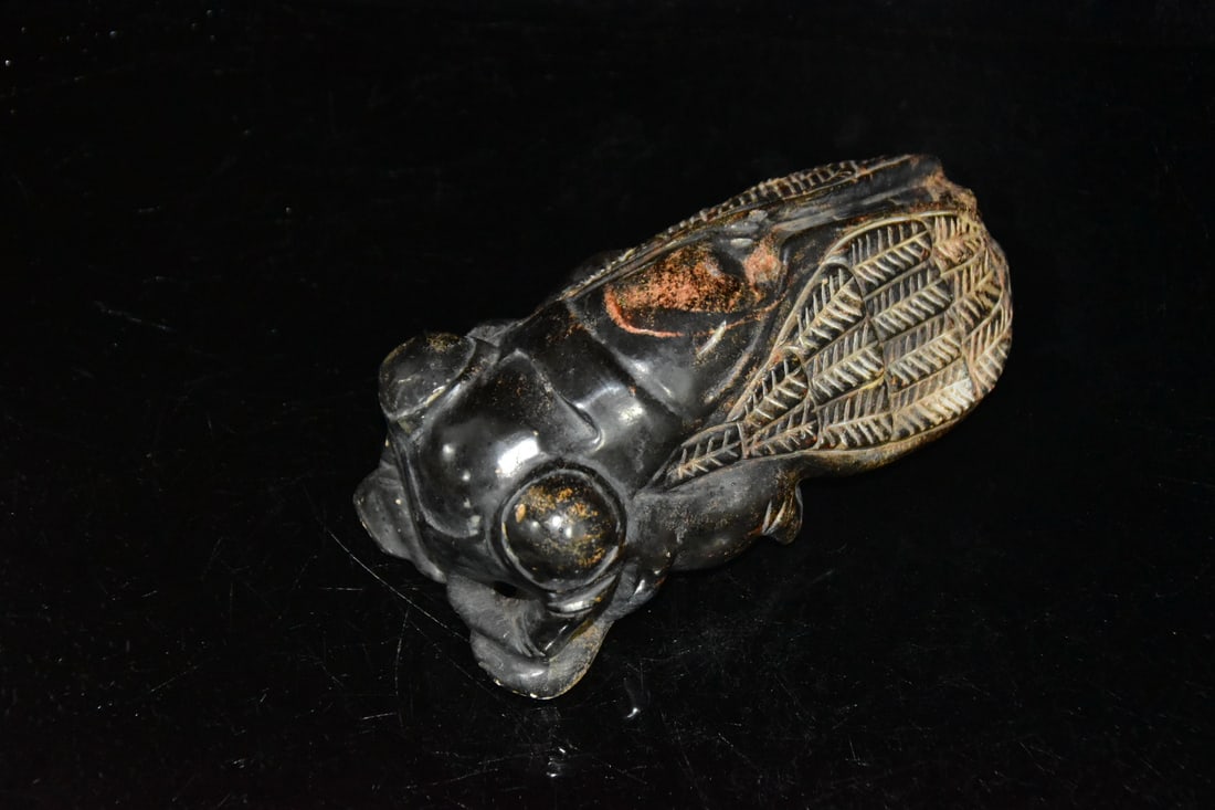 Meteorite cicada - 6