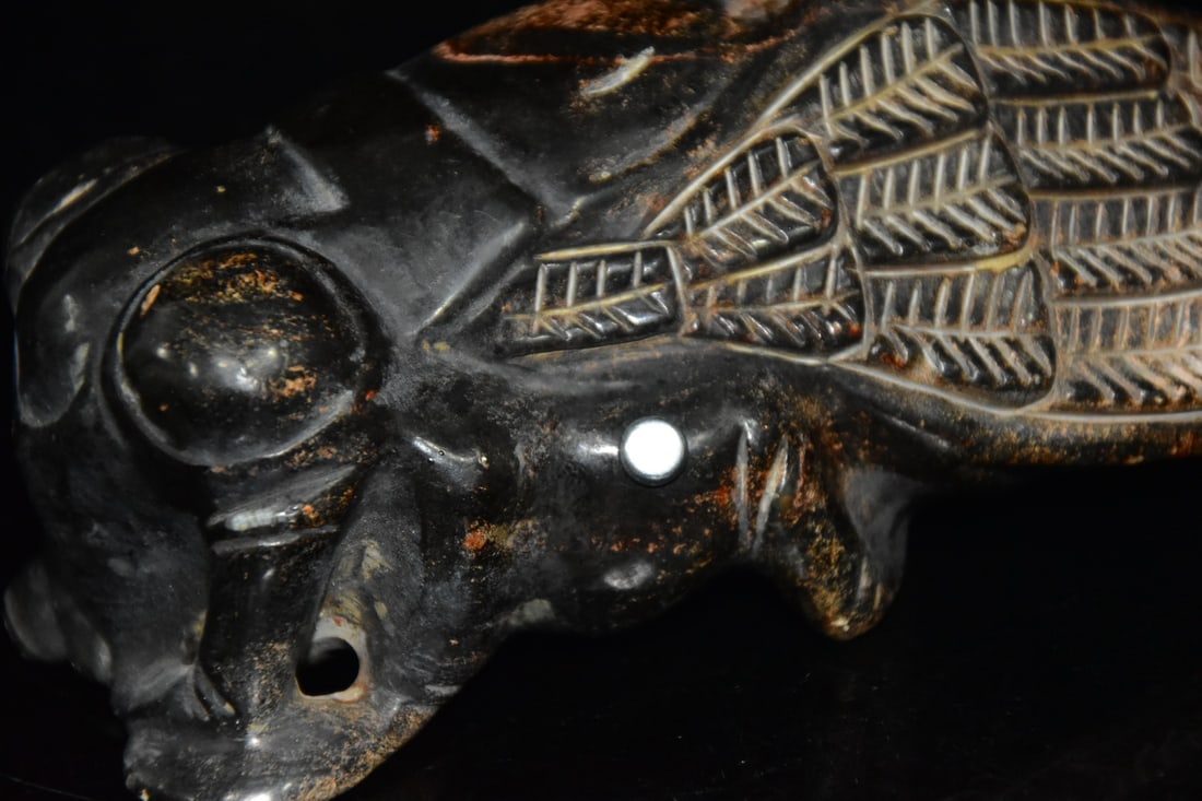 Meteorite cicada - 7