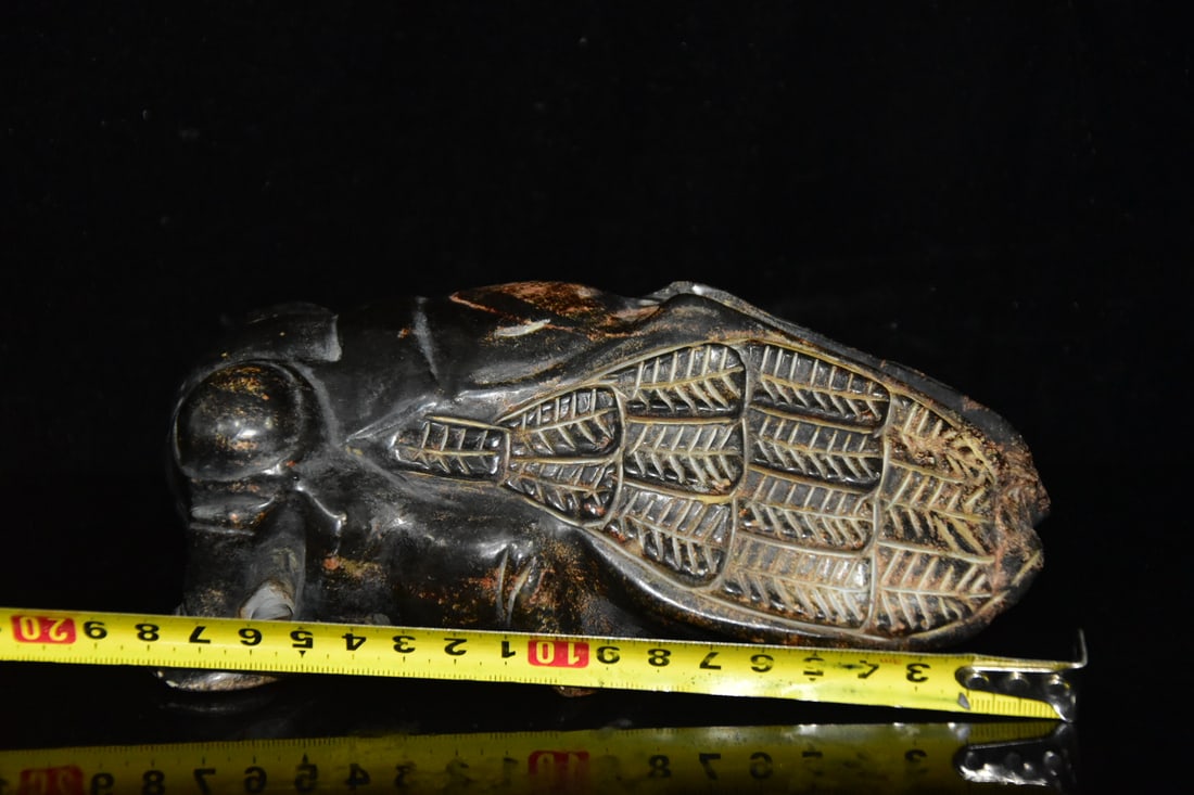 Meteorite cicada - 8