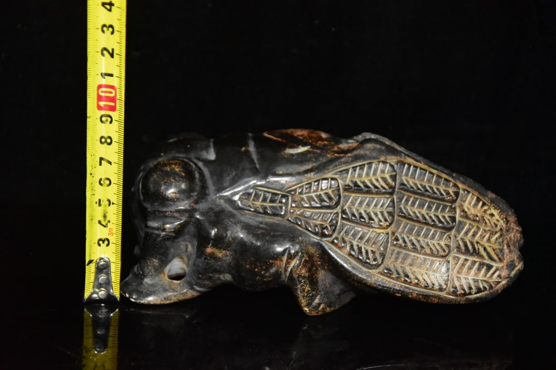 Meteorite cicada - 9