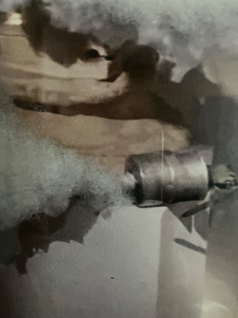 Banksy – Fluff Obtained At Cutandrun With Coa Auction