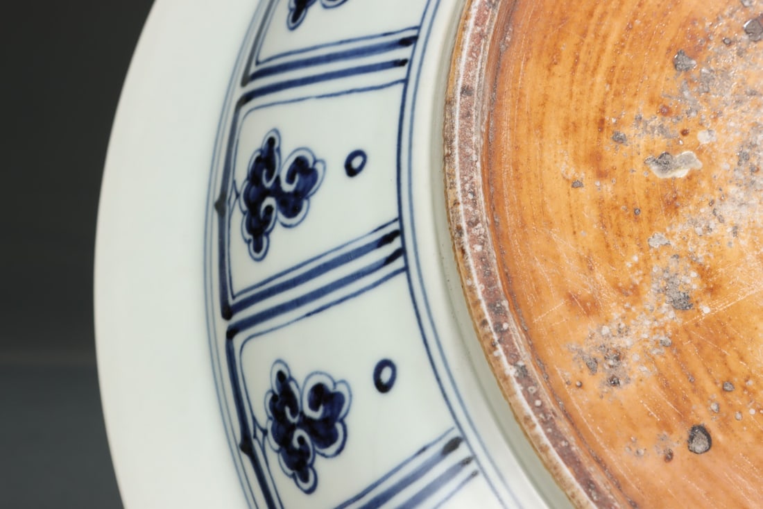 Yuan Dynasty blue and white porcelain plate with red and green color, decorated with intertwined - 8