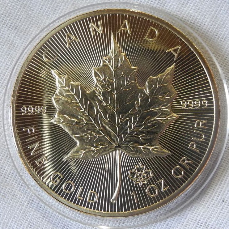 Canadian Maple Leaf 5 dollar coin (1 of 3)