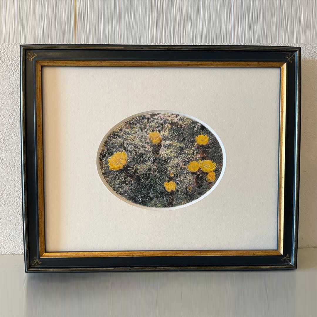 Yoshio Yoshimura Pencil Drawing: Artist: Yoshio Yoshimura, Pencil drawing, Frame size: 285 x 230 mmImage size: Approximately 130 x 100 mmThis is an artwork that goes beyond mere technical skills, created using colored pencils.