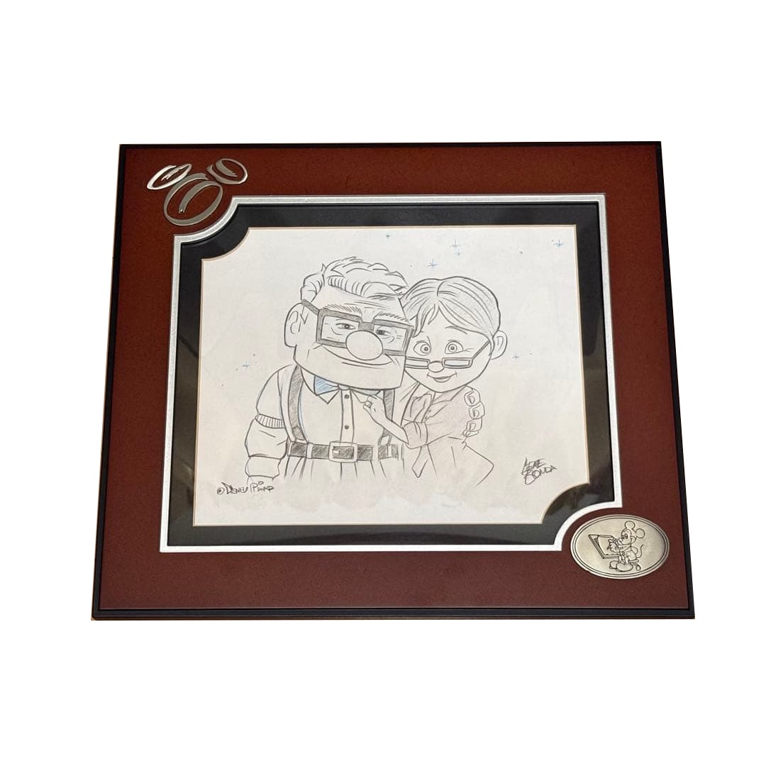 Illustration of Carl Fredriksen's flying house.: Illustration of Carl Fredricksen's flying house.I bought this item over ten years ago at Disney World in Florida. It comes with its original frame.The framed dimensions are approximately 35 cm in heig