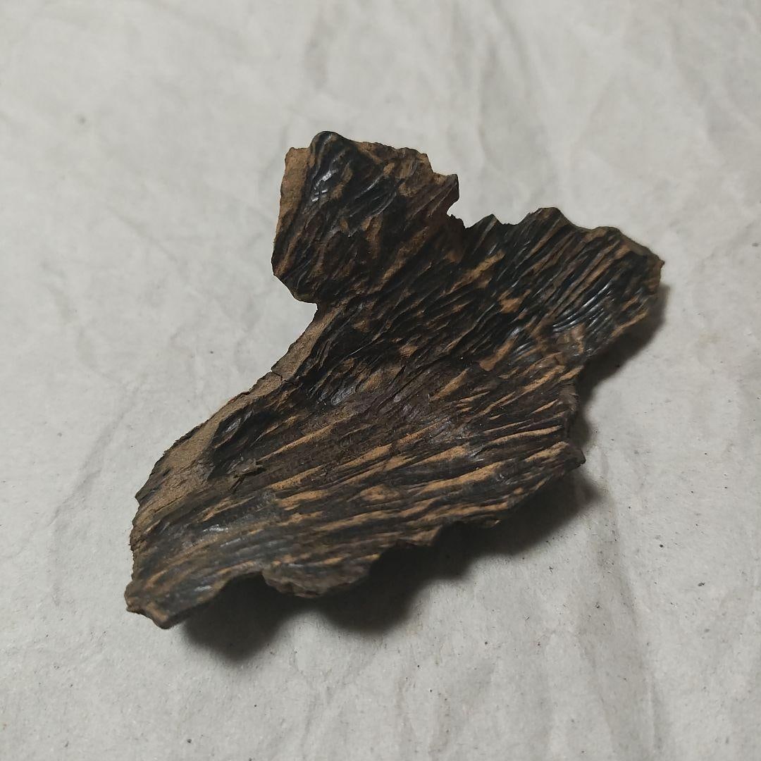 Agarwood (1 of 7)