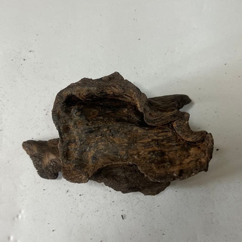 Agarwood 35.5 grams (1 of 4)