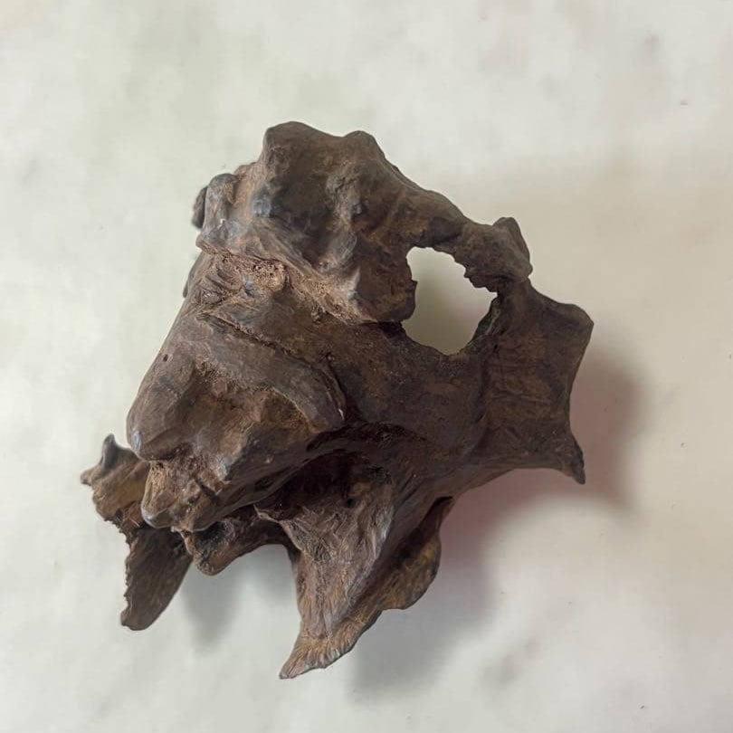 Indonesian agarwood 49.7 grams (1 of 5)