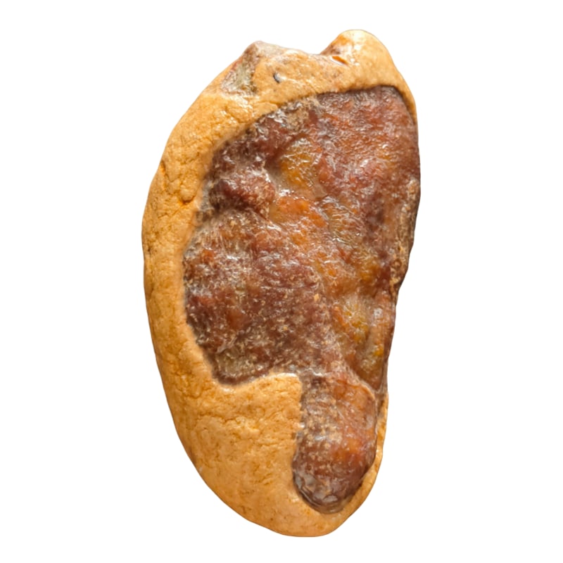 jadeite rough: This jadeite raw stone has a natural and solid shape, with smooth overall lines in an irregular oval shape and a solid texture. The surface has a warm patina with varying shades of brown patterns,
