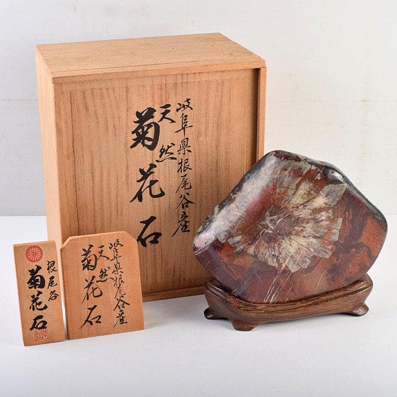 Natural stone from Shintani City, Gifu Prefecture. Viewing stone, chrysanthemum-shaped stone.: Natural stone from Shintani City, Gifu Prefecture. Viewing stone, chrysanthemum-shaped stone. Includes stand, wooden base, and wooden box. Dimensions (including base): approximately 21.5 cm high, 24 c