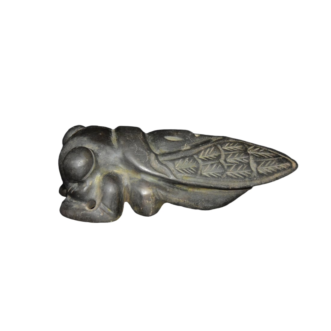 Meteorite Cicada (1 of 7)