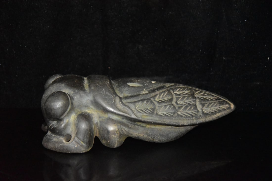 Meteorite Cicada - 2