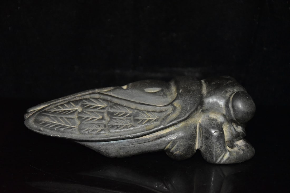 Meteorite Cicada - 3