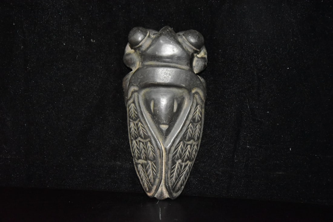 Meteorite Cicada - 4