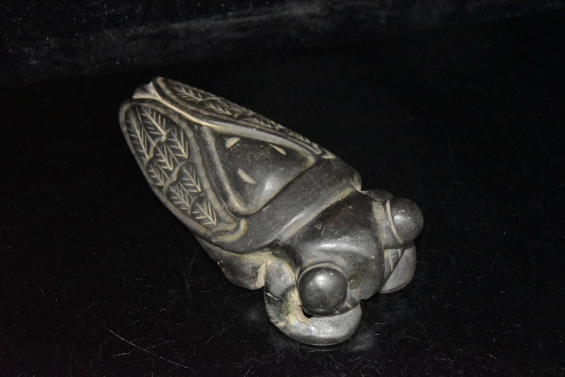 Meteorite Cicada - 5