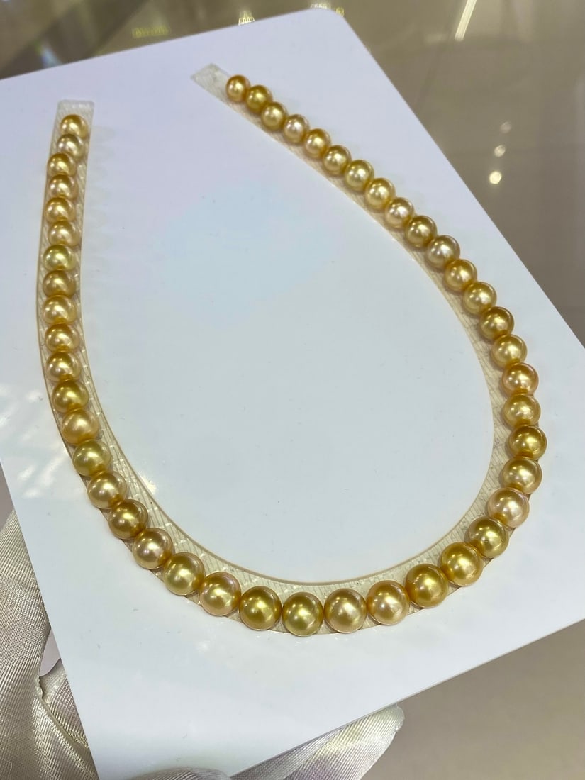 South Sea Golden Pearl Pearl Necklace: This Nanyang Gold Bead Pearl Necklace, with its fashionable and sophisticated design, perfectly elevates the wearer's daily elegance. Featuring carefully selected 8-10mm near-round Nanyang gold pearls
