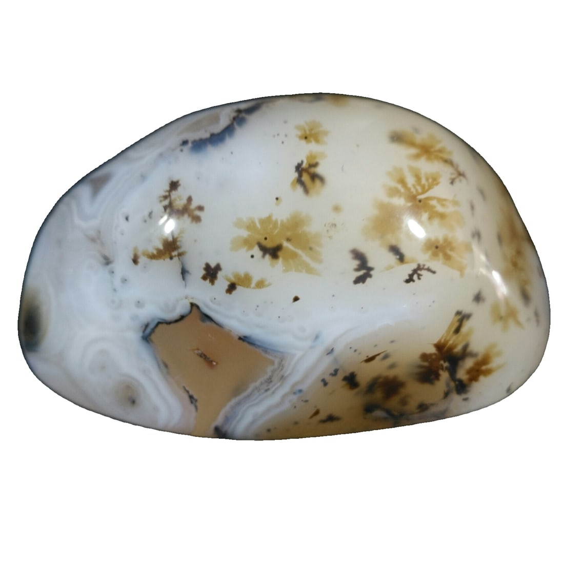 Aquatic grass agate handle piece ornament (1 of 10)