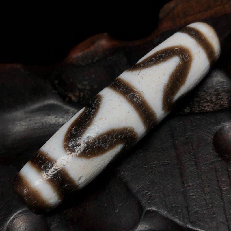 Tiger Tooth Dzi Beads - 9