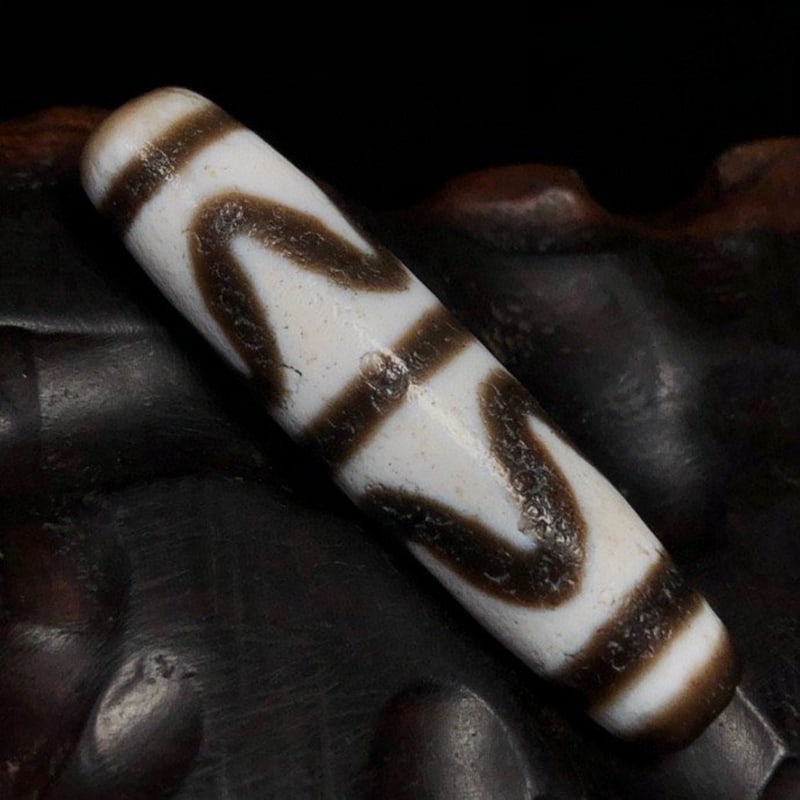 Tiger Tooth Dzi Beads - 2