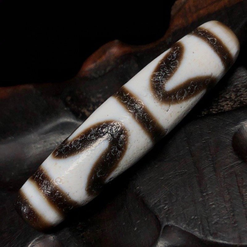 Tiger Tooth Dzi Beads - 3