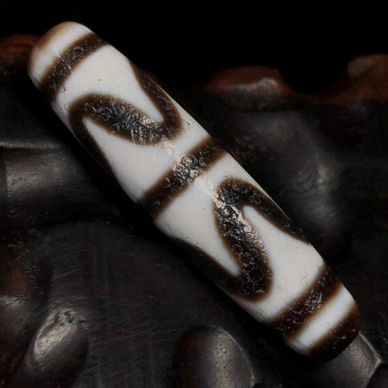 Tiger Tooth Dzi Beads - 4
