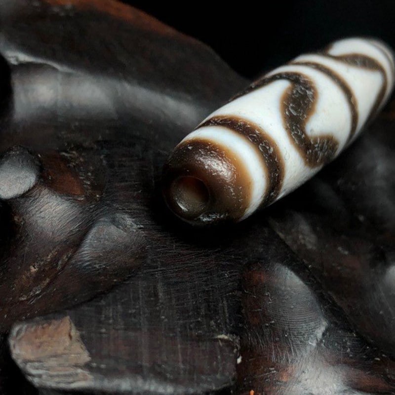 Tiger Tooth Dzi Beads - 6
