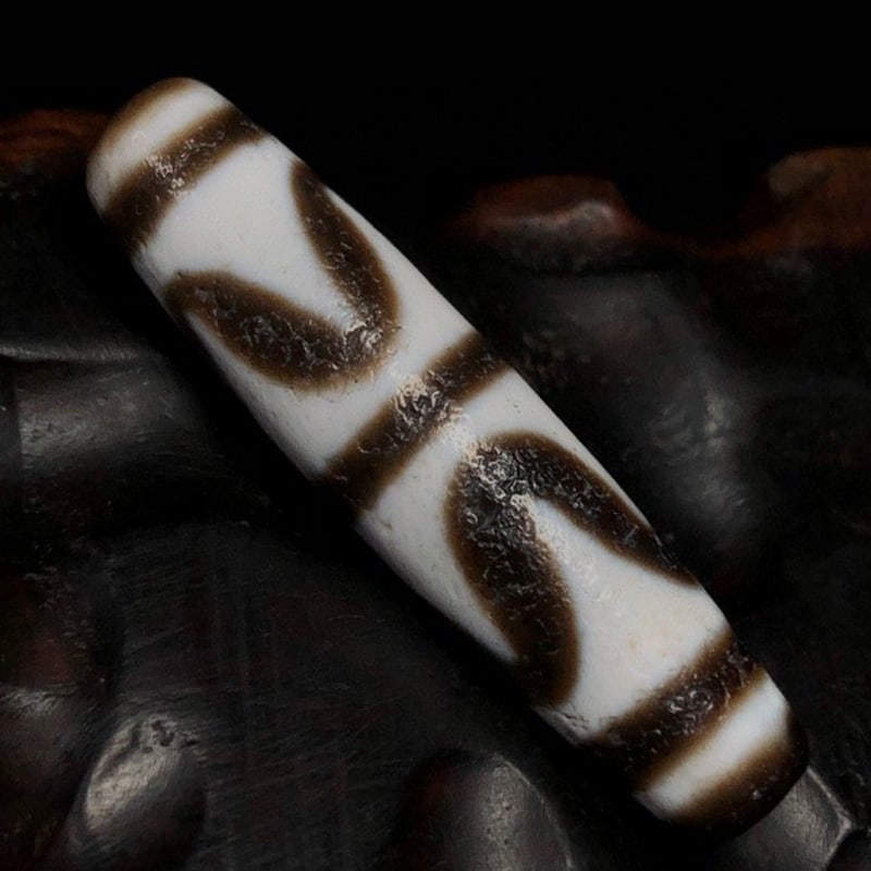 Tiger Tooth Dzi Beads - 7
