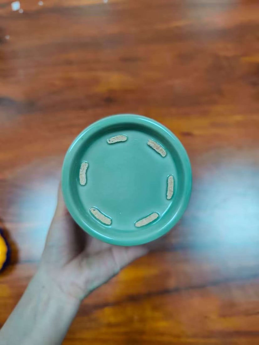 Celadon jar with lotus pattern and lid - 7