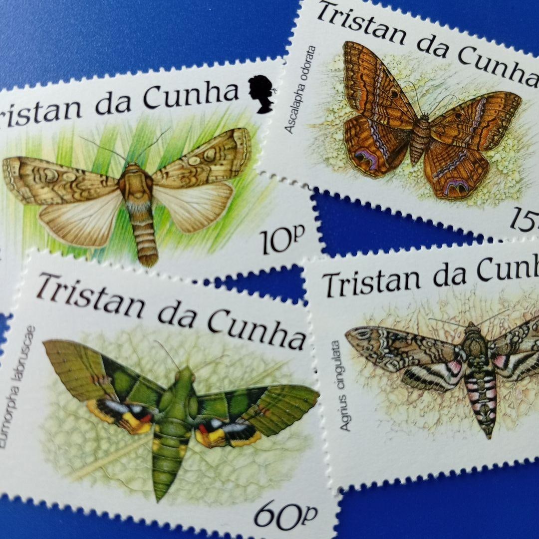 Tristan da Cunha, United Kingdom, 1990, Moth Design, Set of 4 Stamps.: This is a complete set of four commemorative stamps themed "Moths," issued in 1990 by Tristan da Cunha (a British Overseas Territory in the South Atlantic). Each stamp intricately and beautifully depi