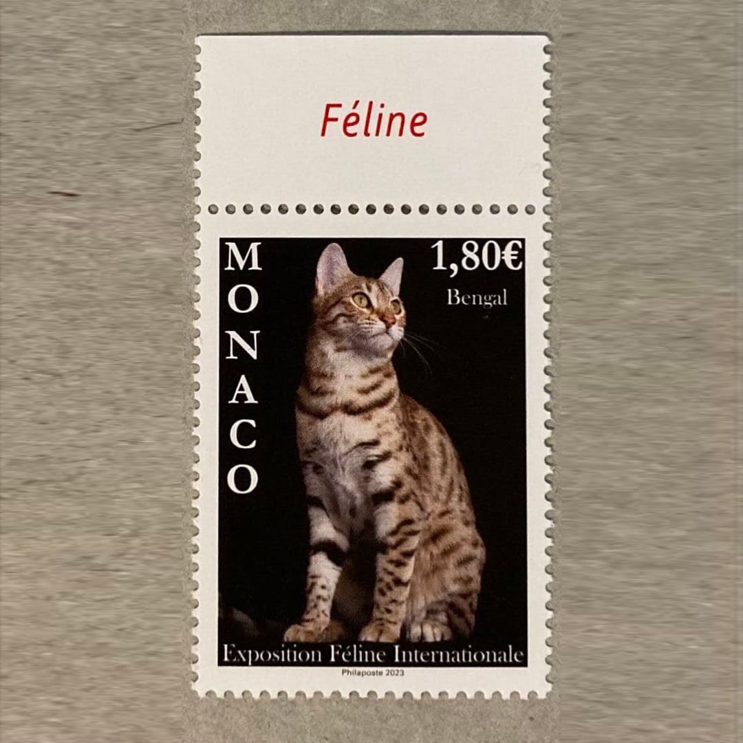 Unused foreign postage stamp, Monaco, 1 piece, cat motif. (1 of 1)