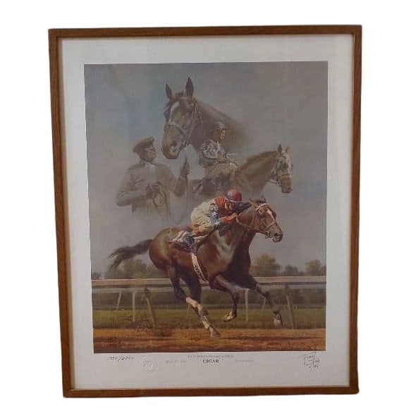 A rare painting by Fred Stone depicting the American Horse of the Year, Cigar, from 1995 and 1996.: A painting of the American Horse of the Year, Cigar, by the renowned equestrian artist Fred Stone.Titled "IN PURSUIT OF GREATNESS"Featuring Cigar, who achieved 16 consecutive victories and was named t