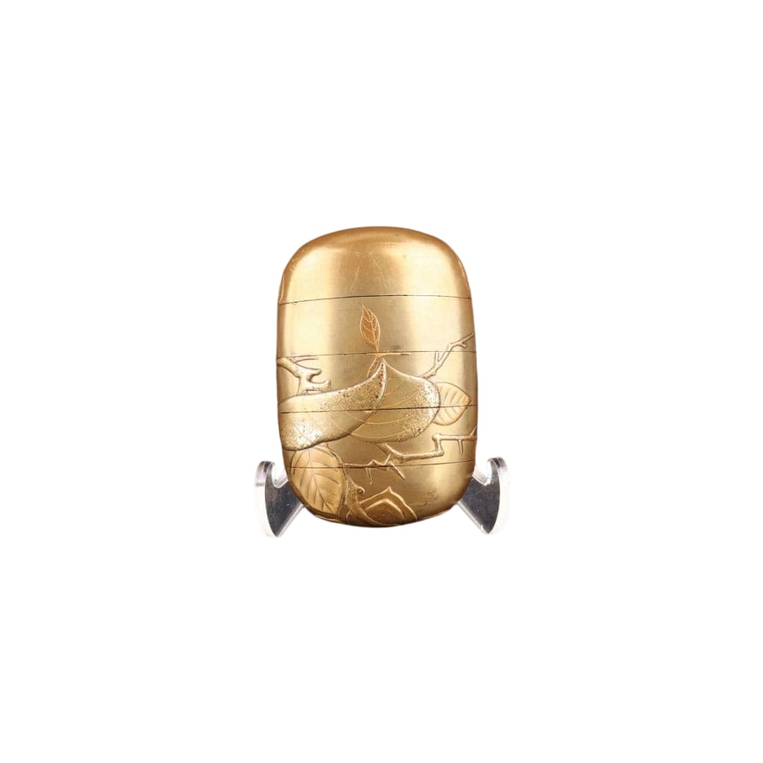 Edo Period Kin-sai Maki-e Inro with Kaki (Persimmon) Design / With Period Wear: Gold Makie Inro, adorned with a design of plants and leaves. Color: Gold Design: Plant motif
