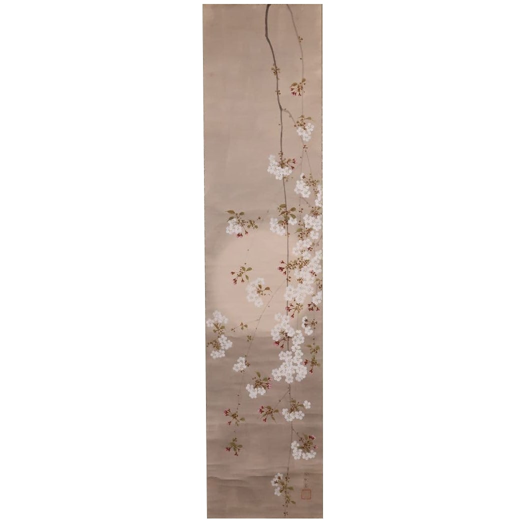 Japanese Painting by Yamaguchi Reiki, "Cherry Blossom" on Paper, Hanging Scroll. Mentored by: (1 of 20)