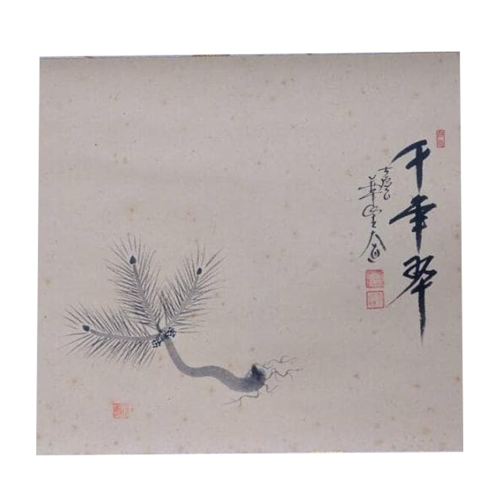 Authentic Hanging Scroll by Nishigaki Daito, "Sennen Midori" (Thousand-Year Green), with Zen: Nishigaki Daido is a Japanese monk of the Rinzai sect, Daitoku-ji school, and also a Zen monk writer engaged in calligraphy (bokuseki). He is currently the abbot of Jiraku Zen Temple in Toyooka City, 