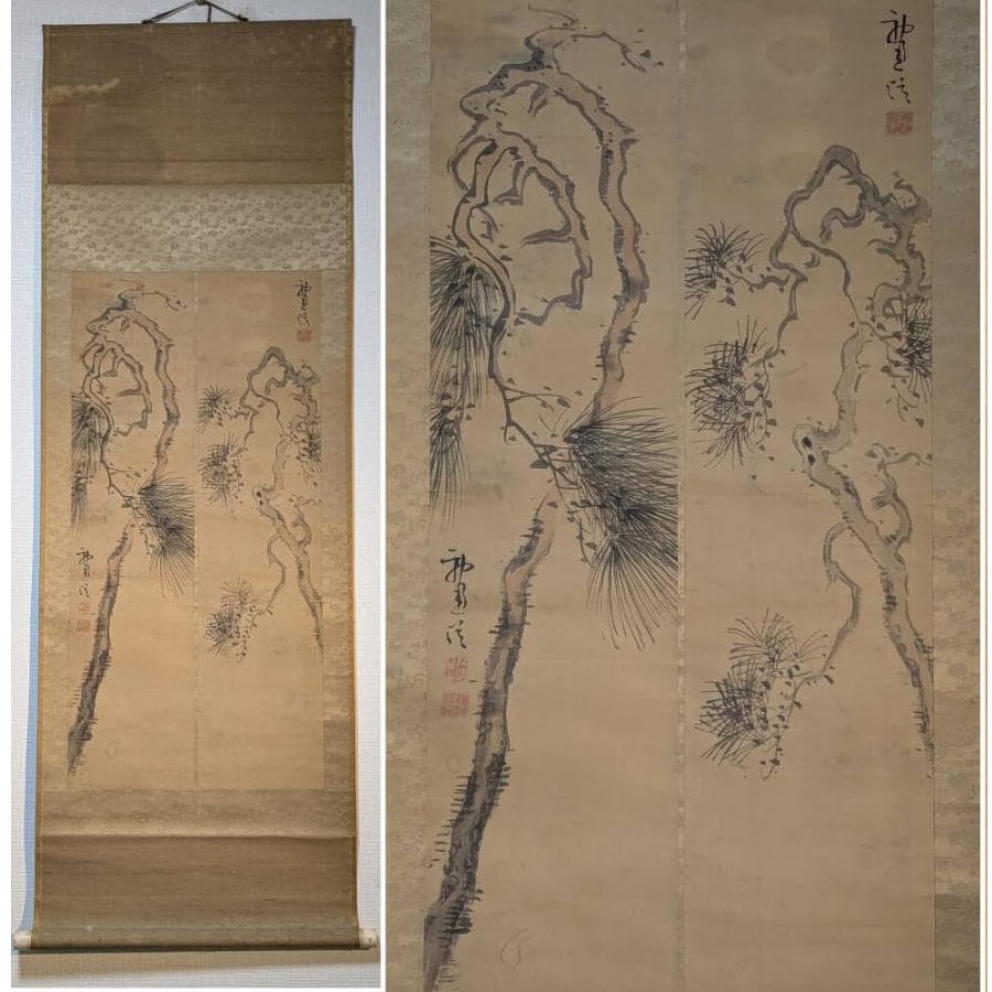 Authentic Work Hanging Scroll "Old Pine Tree" Ink and Light Color The Elegant Charm of Pine Trees A: Mounting dimensions (including roller ends) approximately 59 x 155 cm Paper dimensions approximately 43 x 87 cm